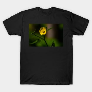 Closeup of a bright yellow buttercup T-Shirt